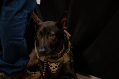 241109_foxhole_sld-04307